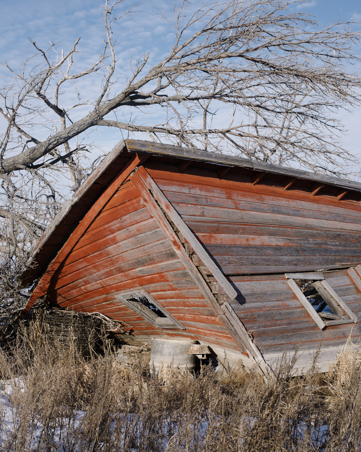 Meadowlark photograph 5