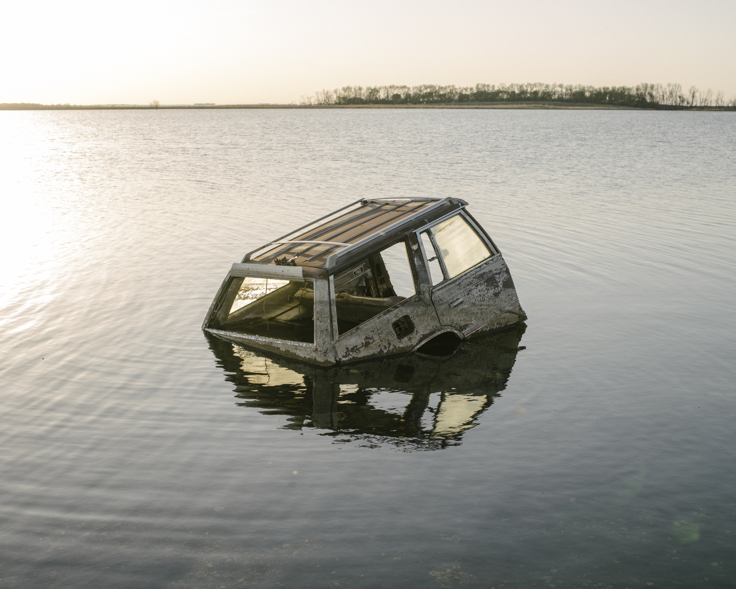 Meadowlark photograph 7