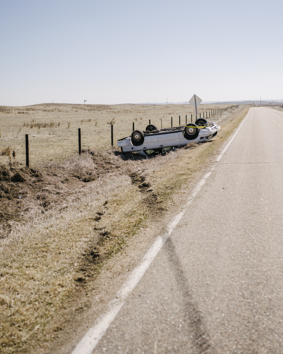 Meadowlark photograph 11