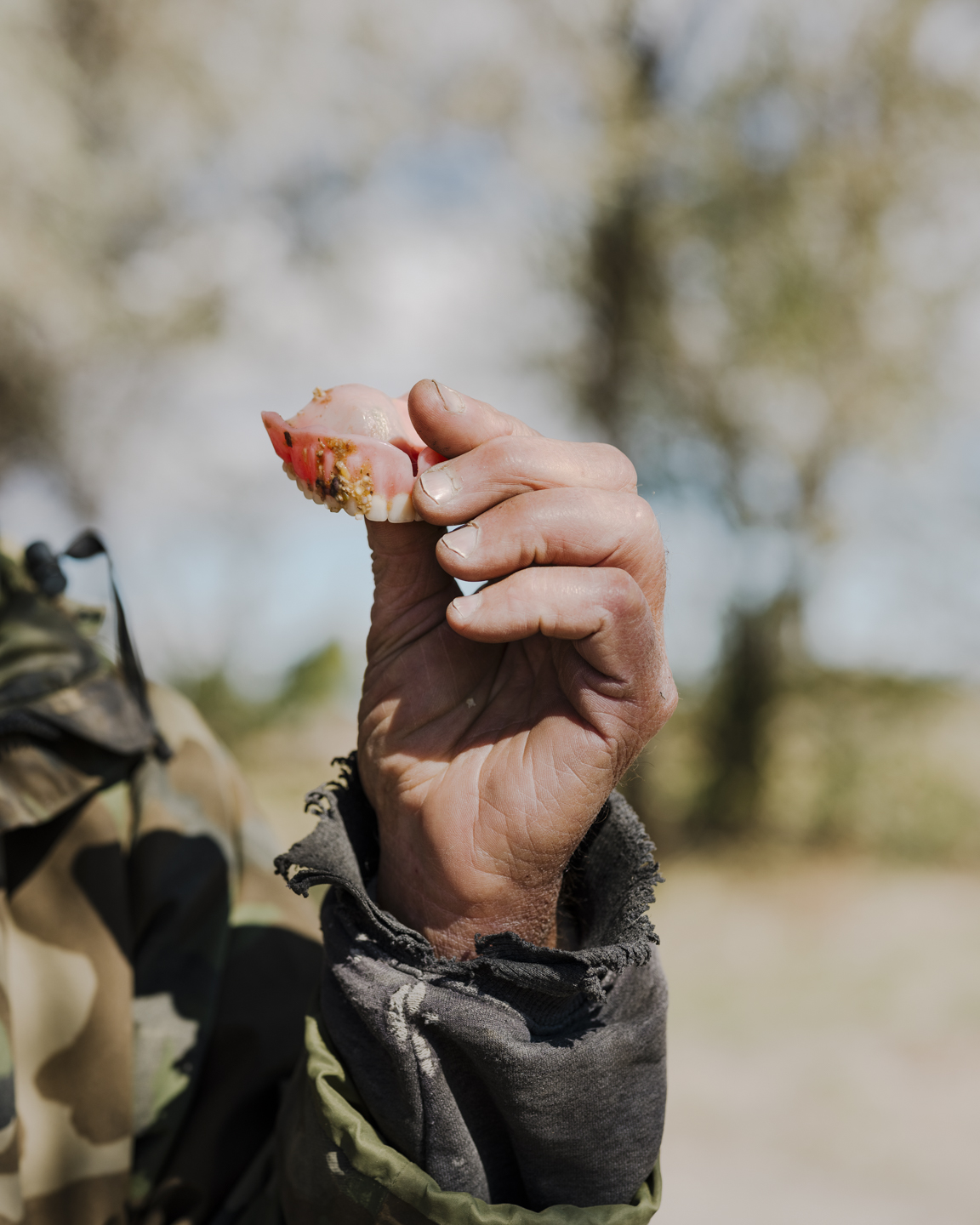 Meadowlark photograph 12