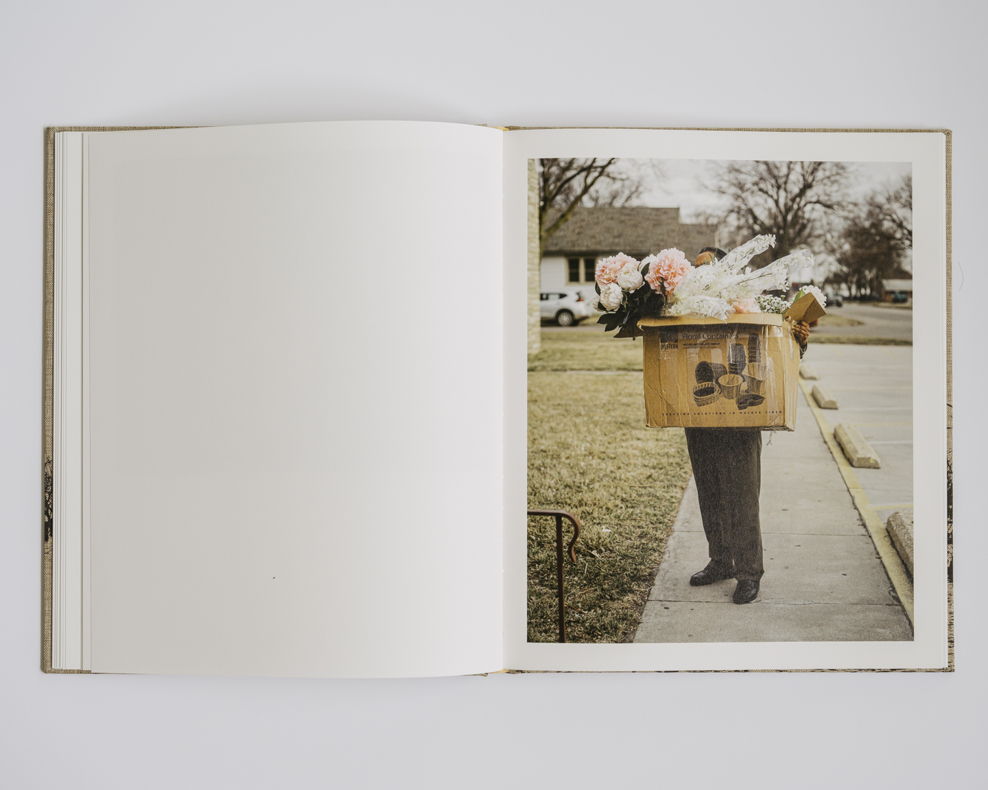 Meadowlark photograph 13