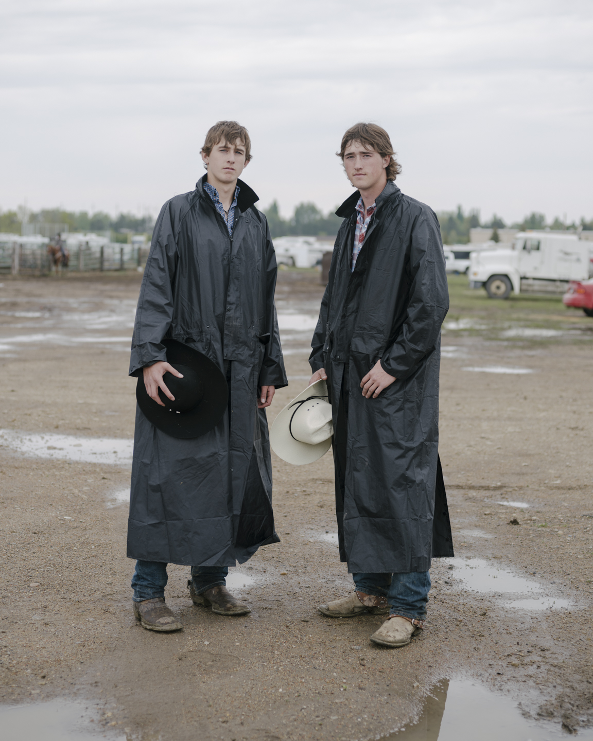 Meadowlark photograph 14