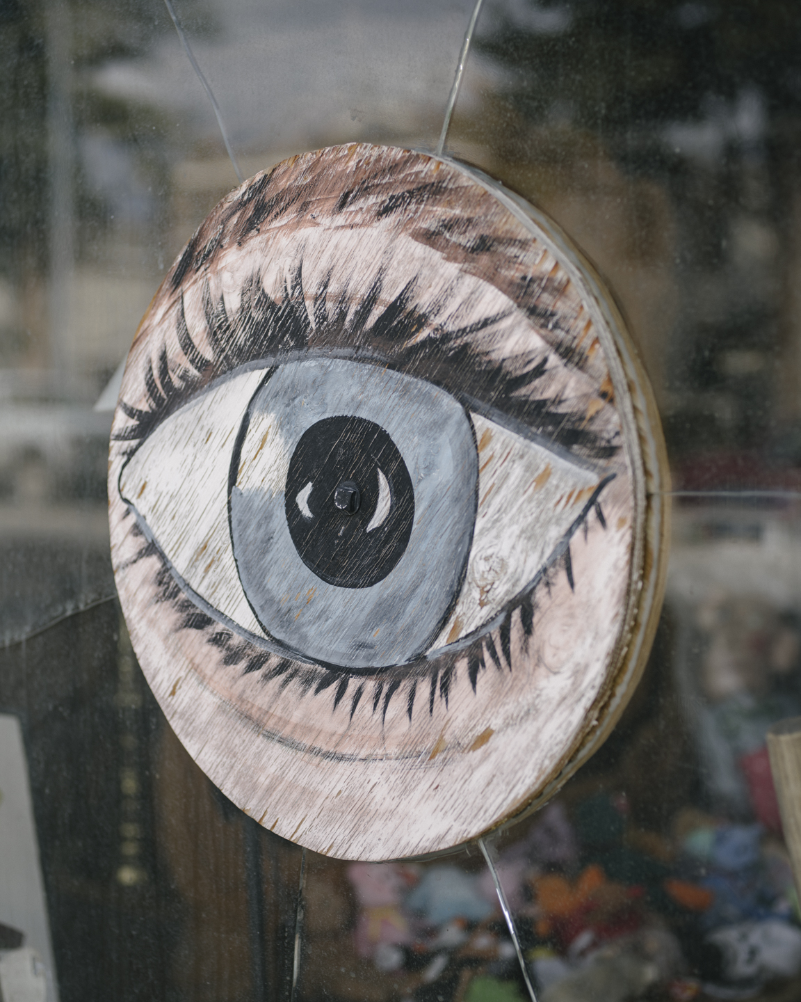 Meadowlark photograph 15