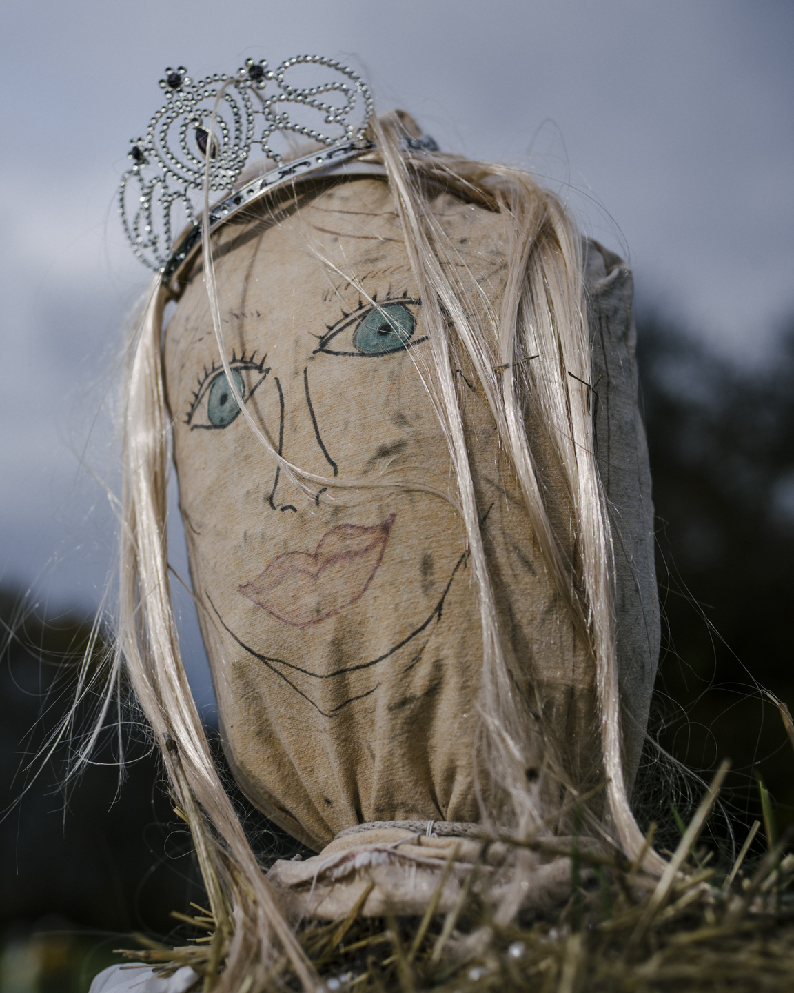 Meadowlark photograph 18