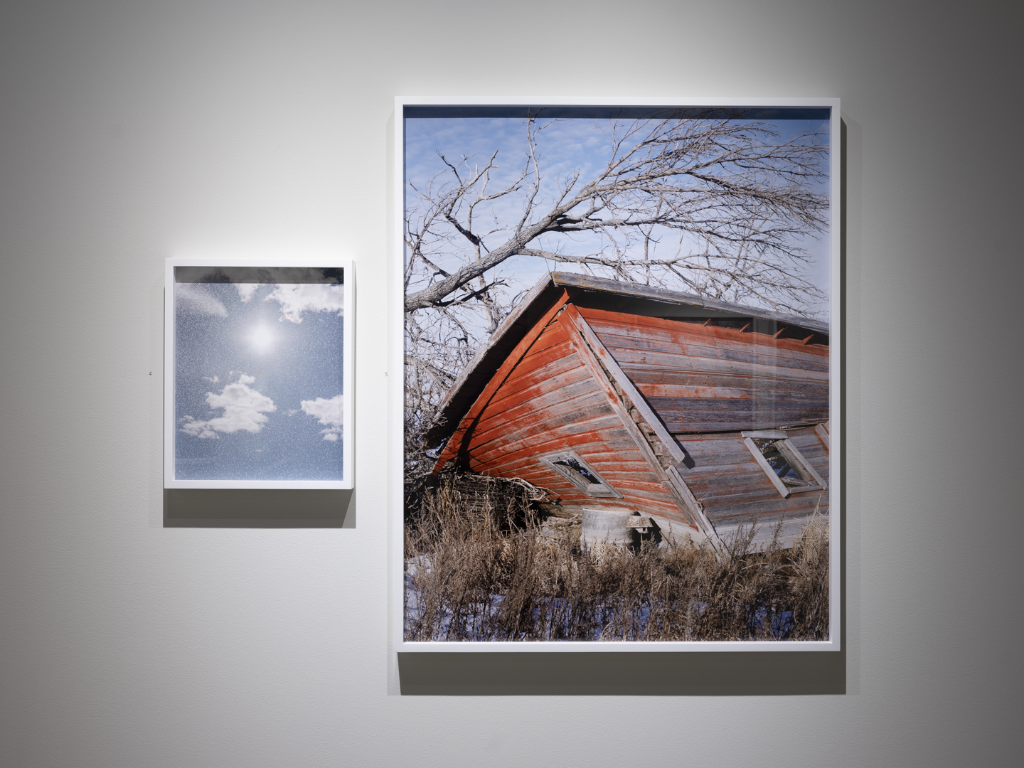 Meadowlark photograph 19