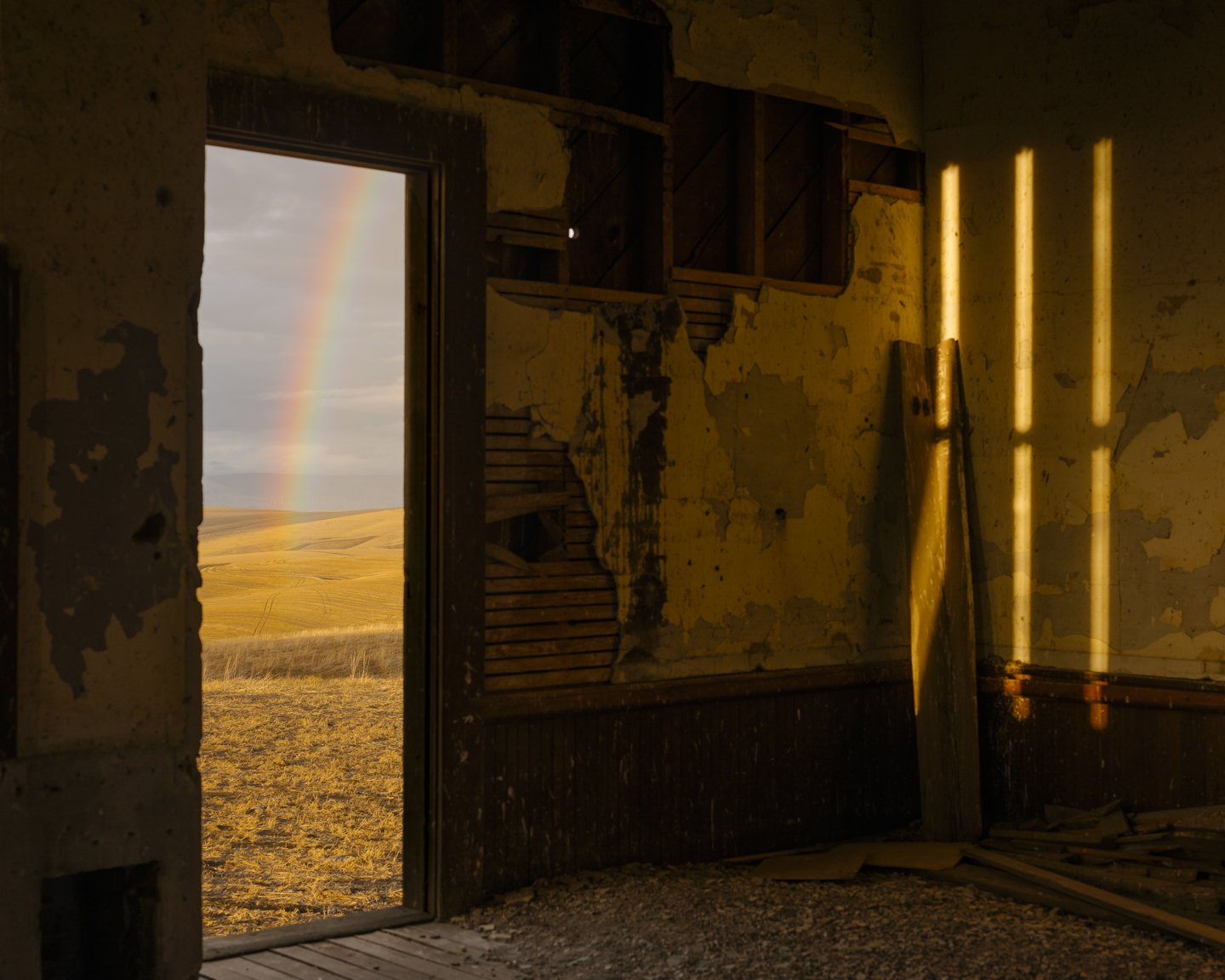 Meadowlark photograph 21