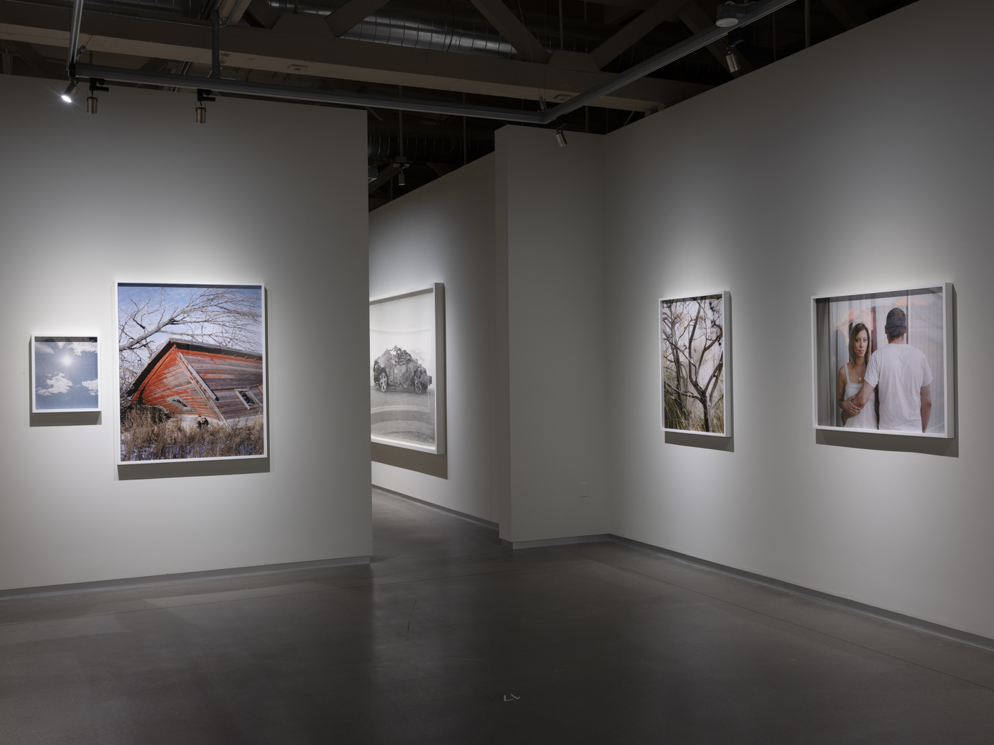 Meadowlark photograph 22