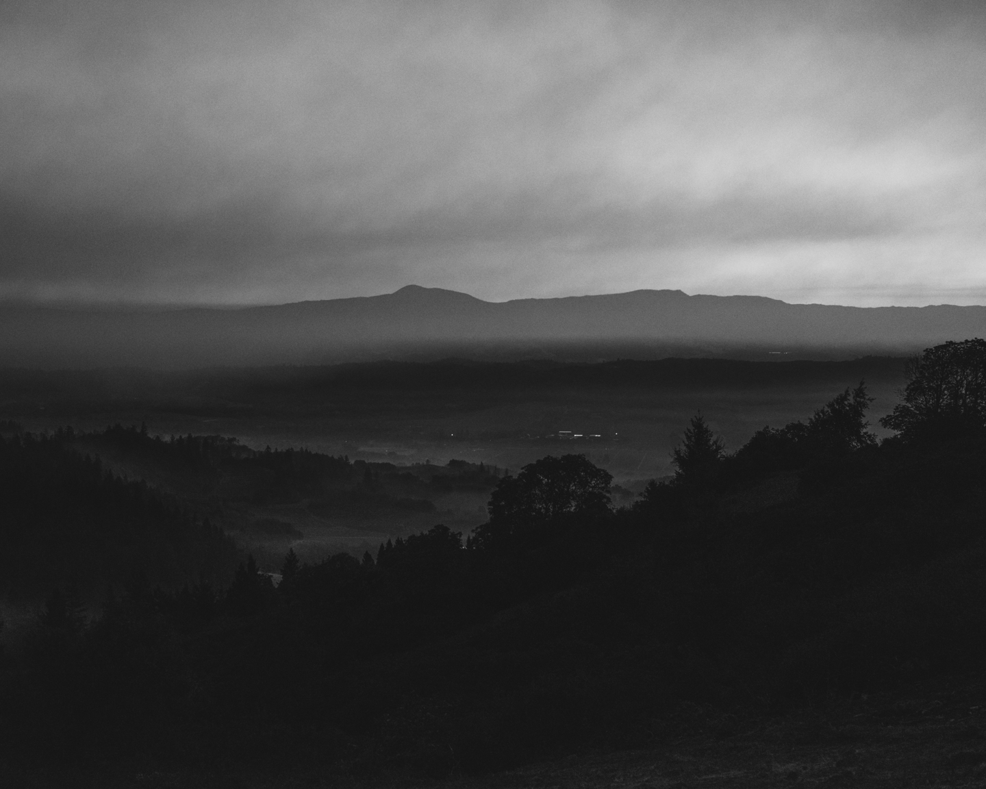 The Weight of Ash photograph 2