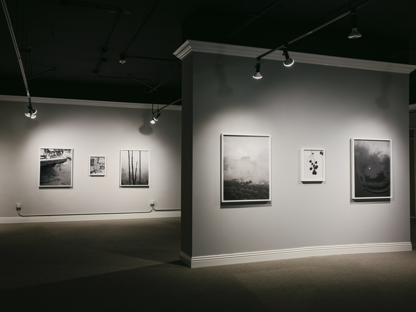 The Weight of Ash photograph 4