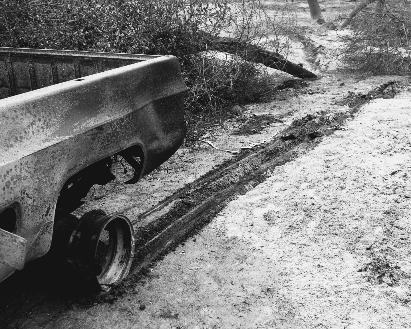 The Weight of Ash photograph 5