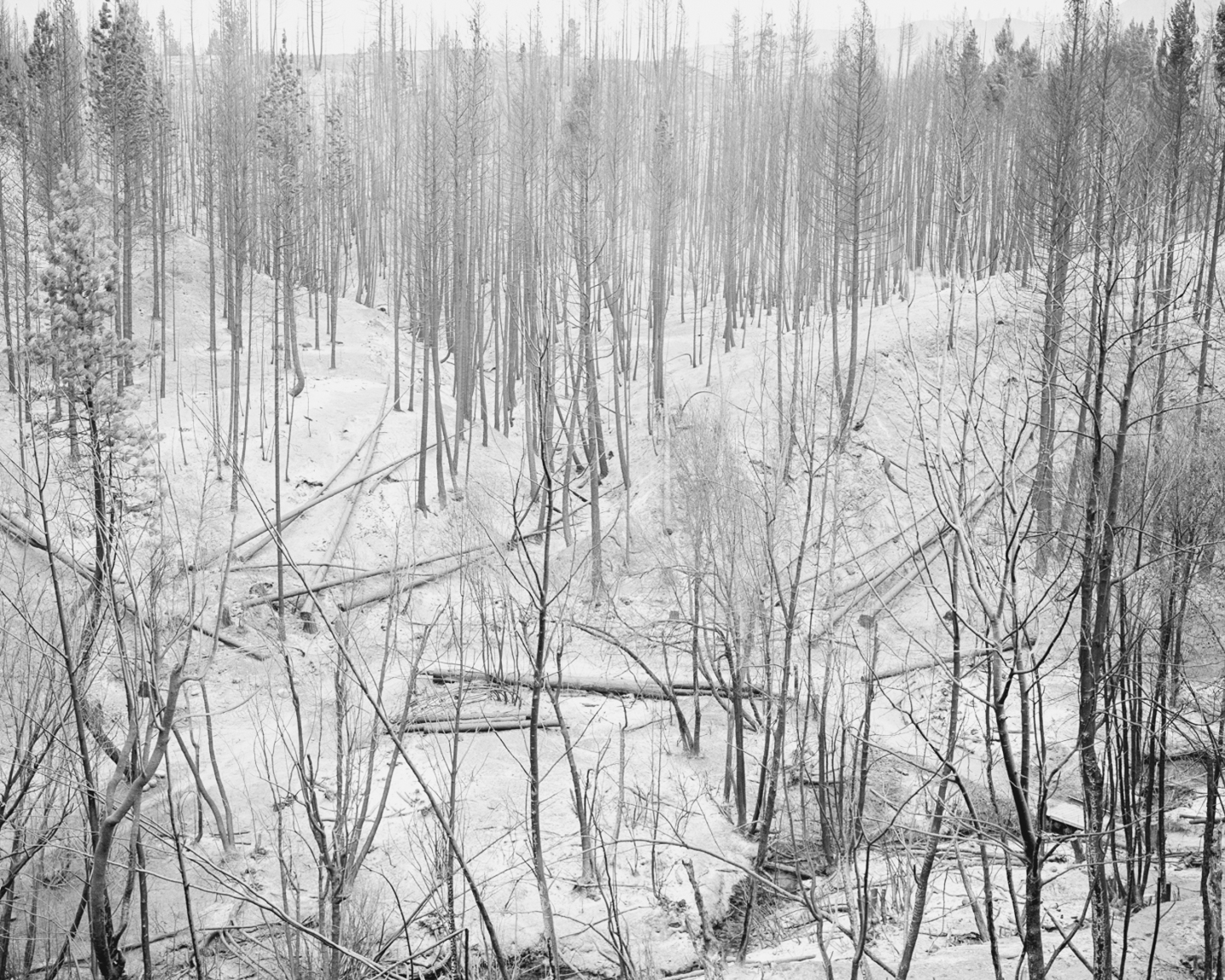 The Weight of Ash photograph 8