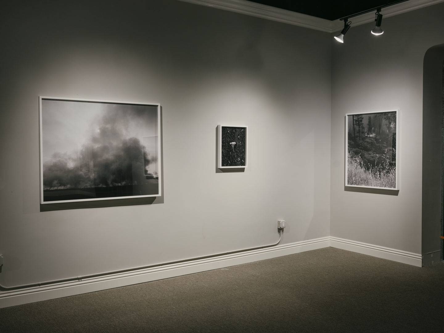 The Weight of Ash photograph 9