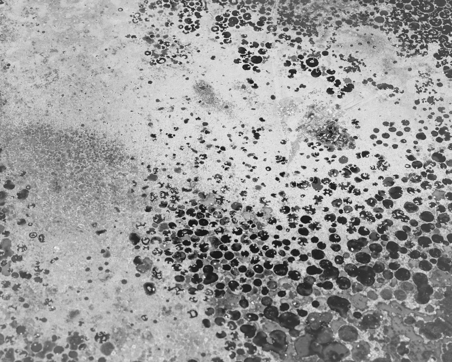 The Weight of Ash photograph 10