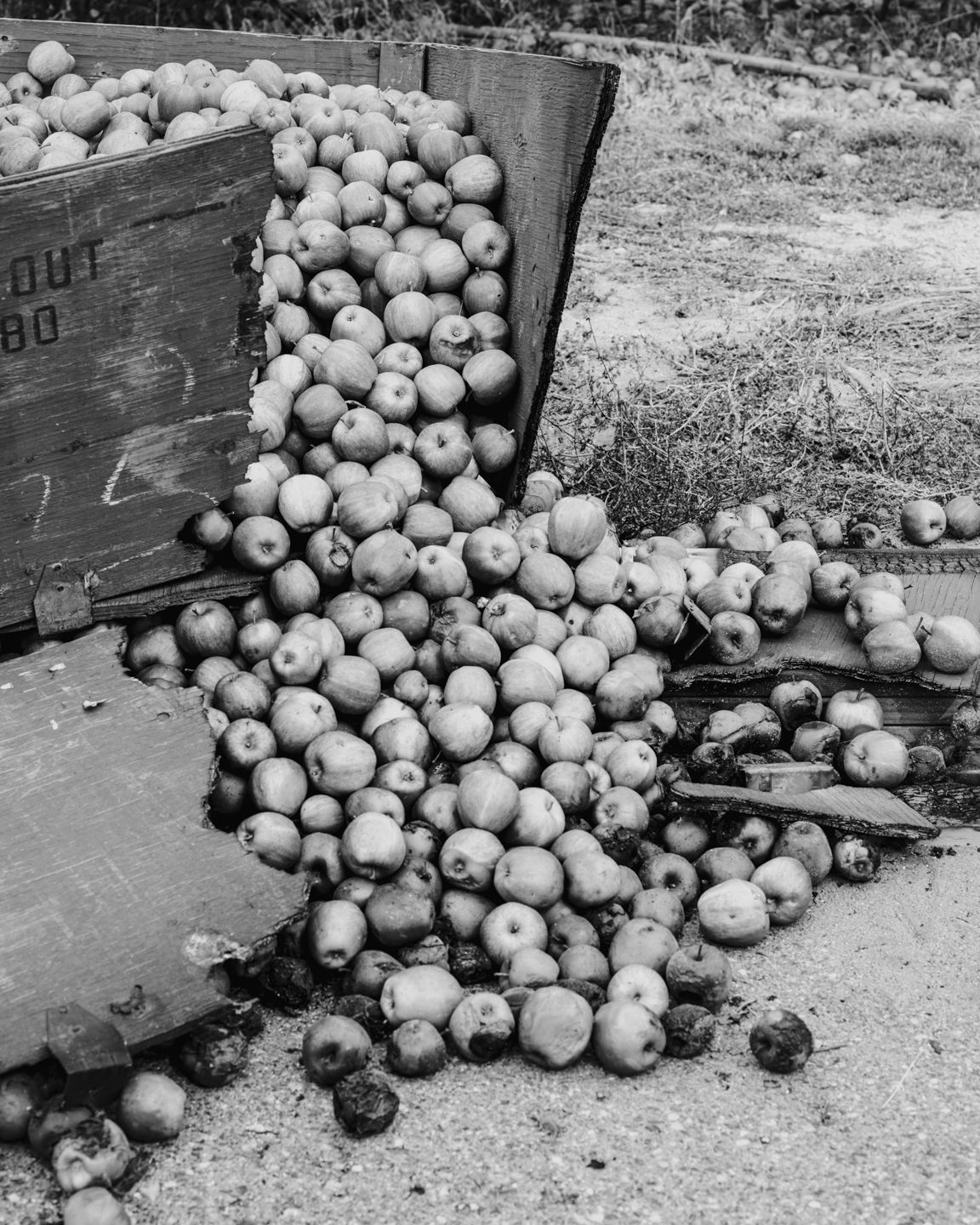 The Weight of Ash photograph 11