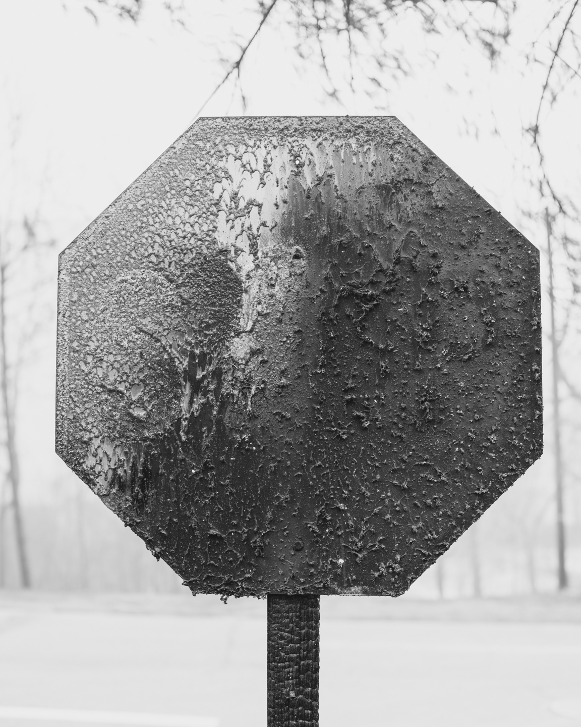 The Weight of Ash photograph 13