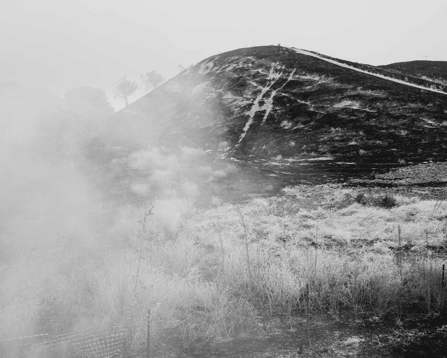 The Weight of Ash photograph 14