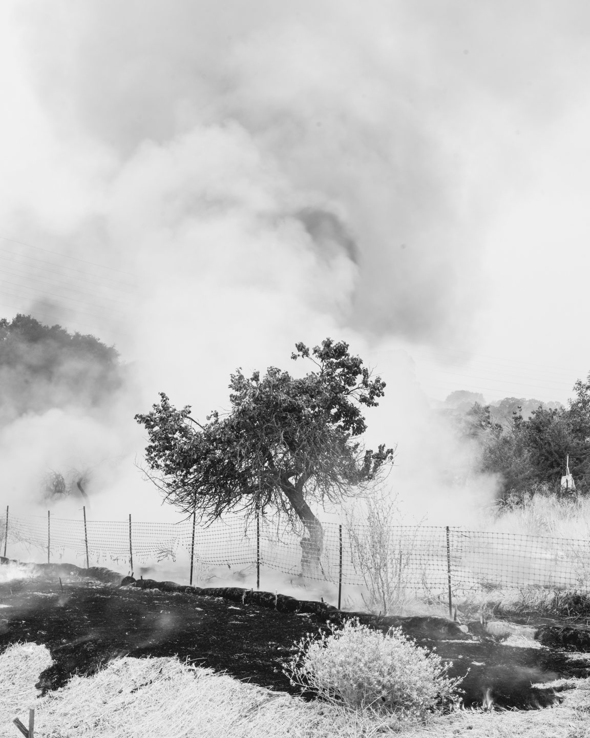 The Weight of Ash photograph 16