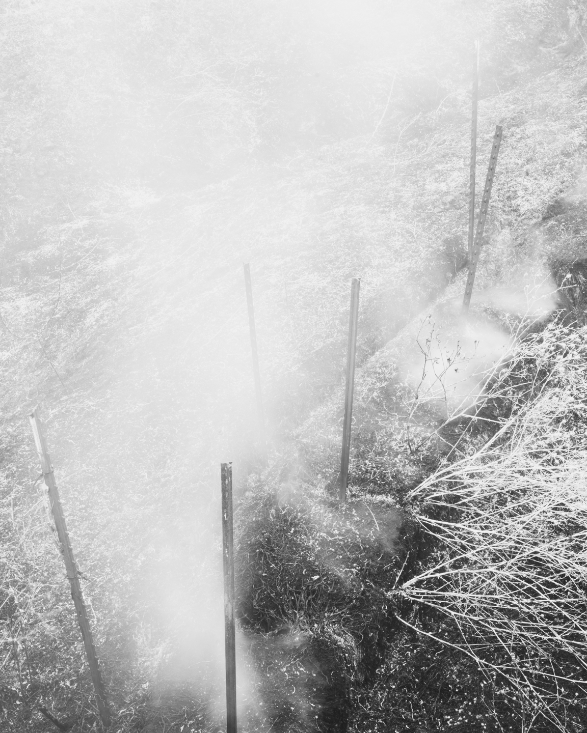 The Weight of Ash photograph 23