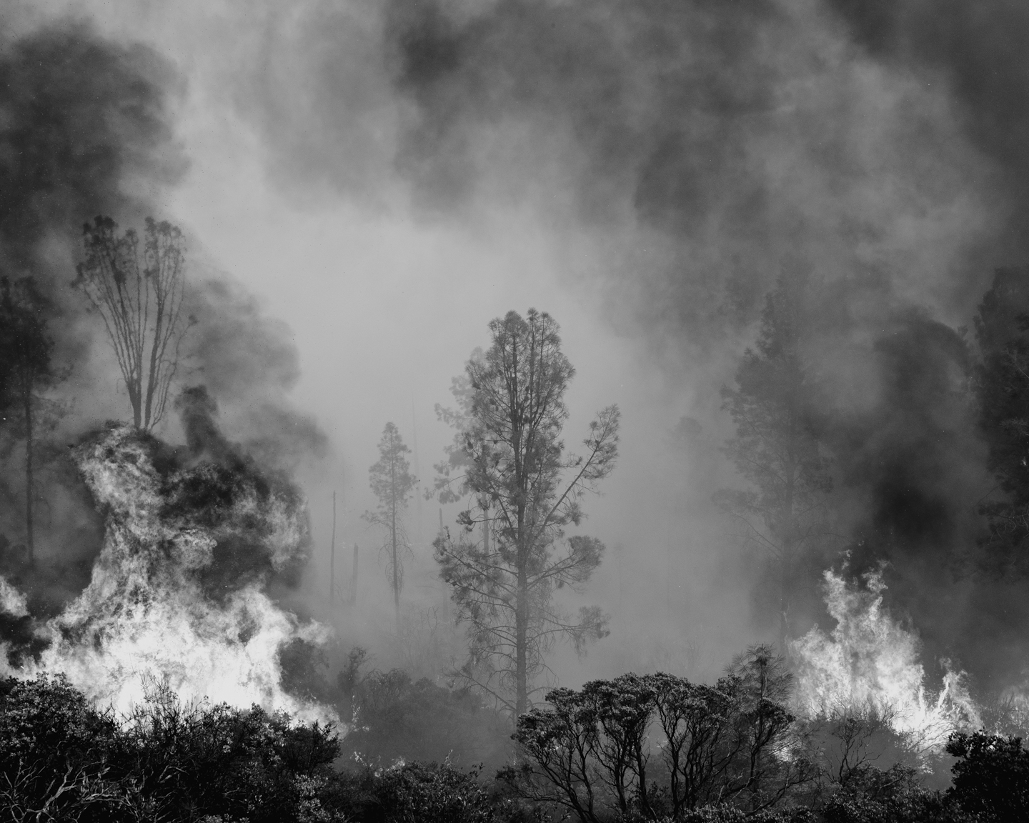 The Weight of Ash photograph 25